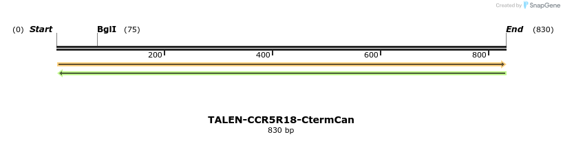 78473_map