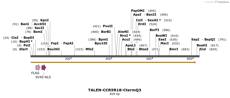 78476_map