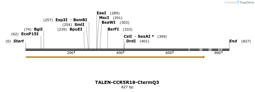 78478_map