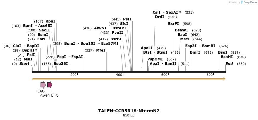 78491_map