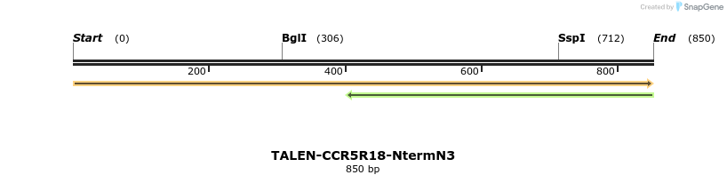 78497_map