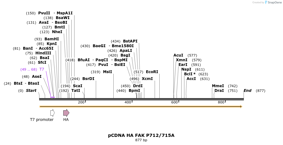 78501_map