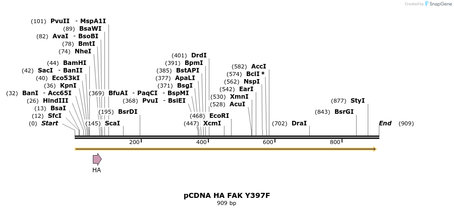 78502_map