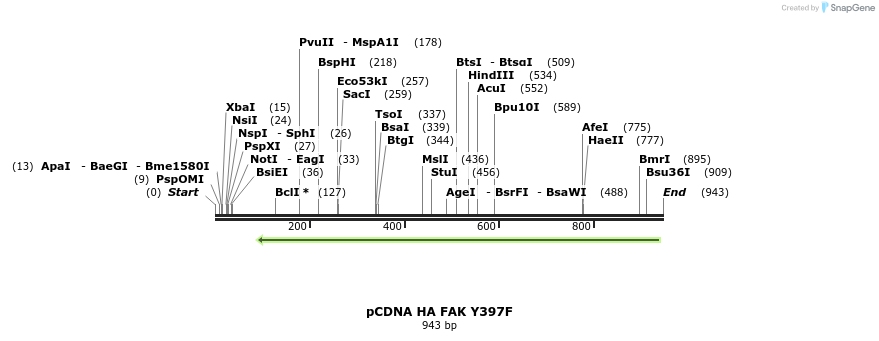 78503_map