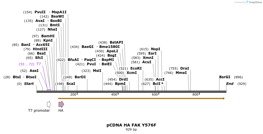 78506_map