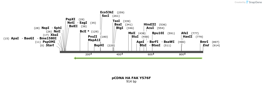 78507_map