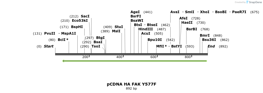 78509_map