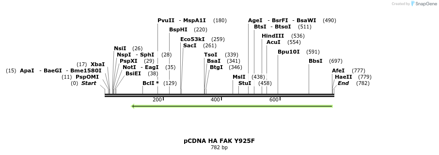 78513_map