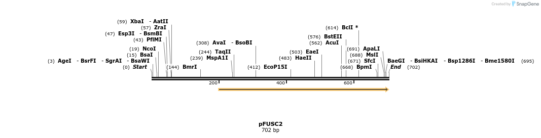 78514_map