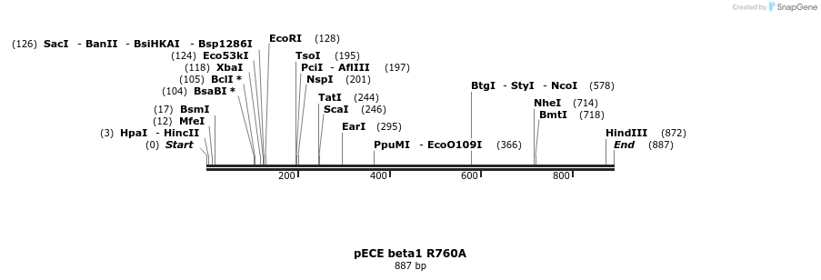78518_map