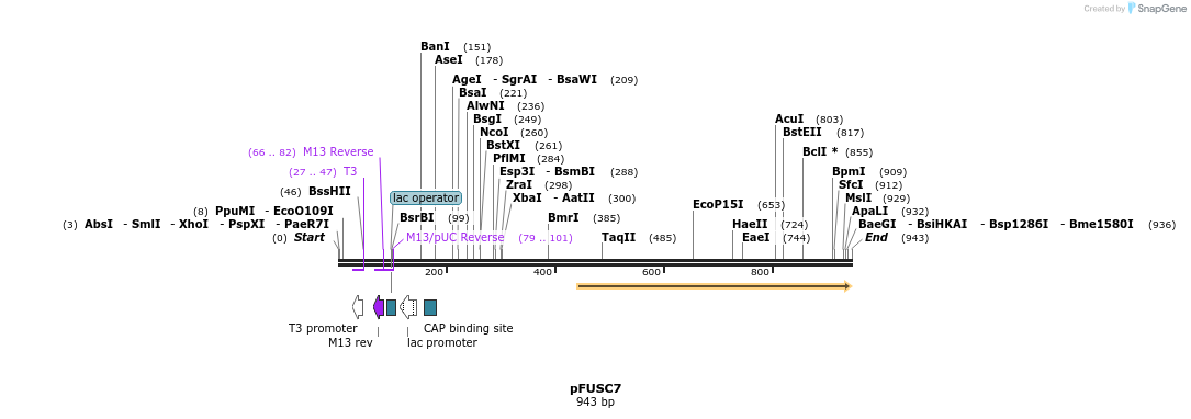 78520_map
