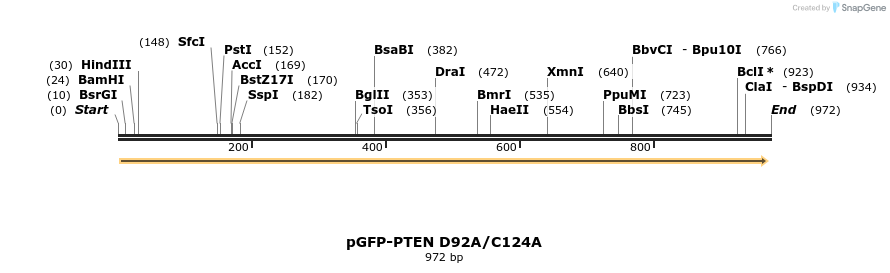 78522_map
