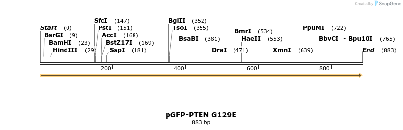 78526_map
