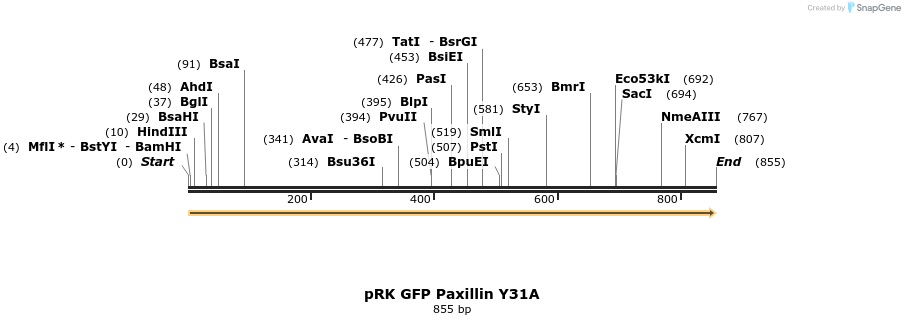 78528_map