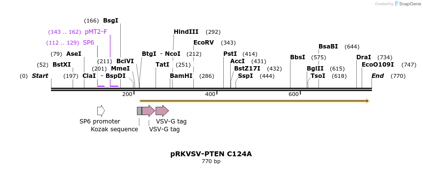 78529_map