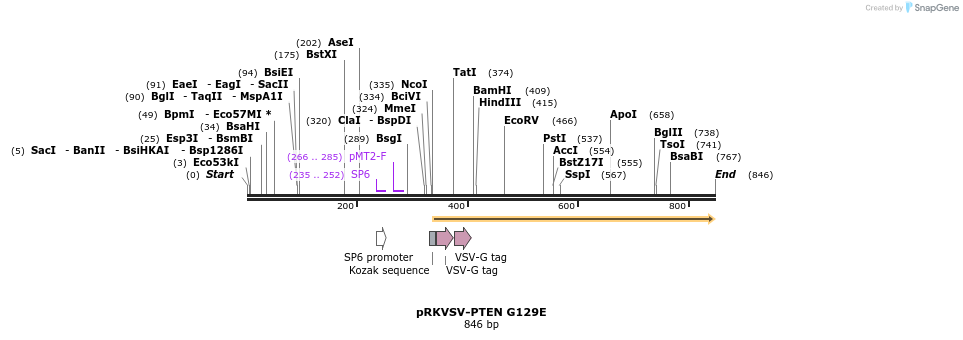 78531_map