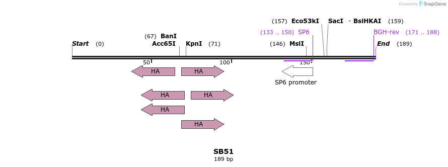 78535_map