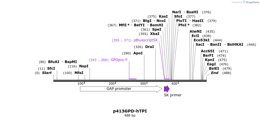 78551_map