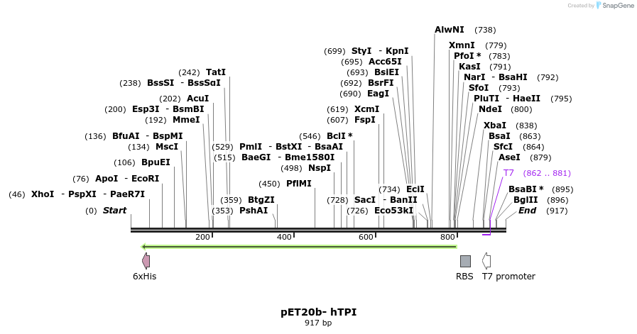 78552_map