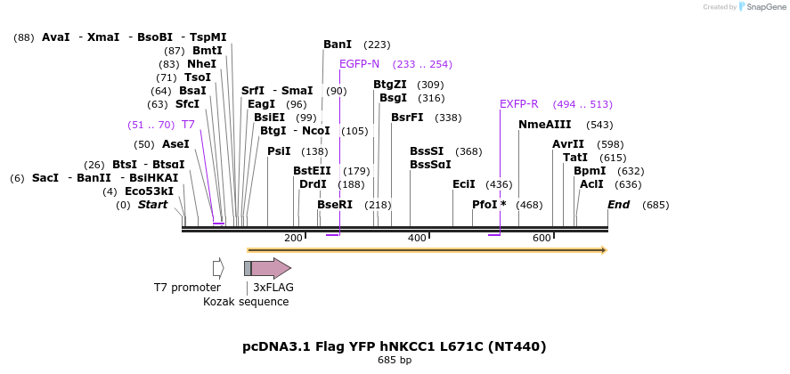 78559_map