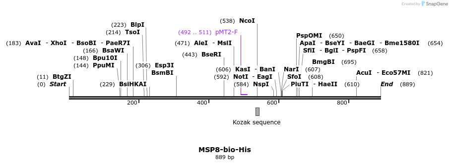 78562_map