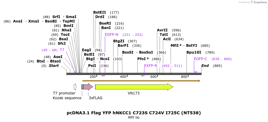 78572_map