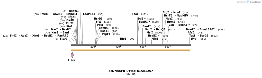 78575_map