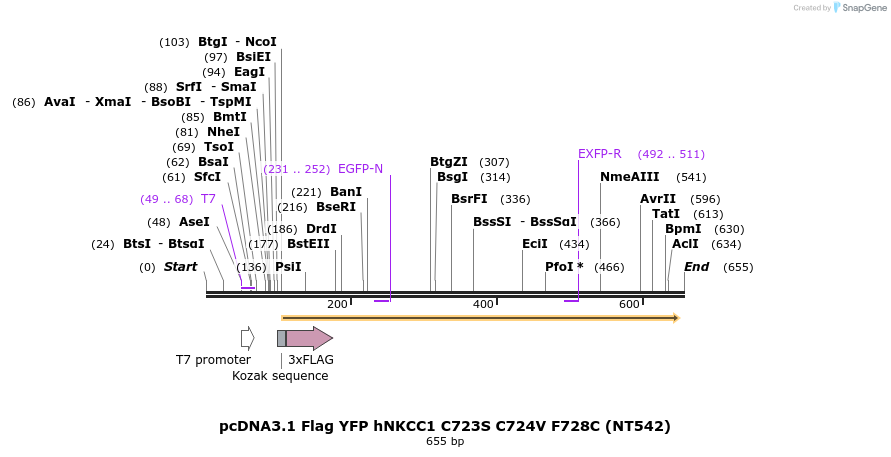 78578_map