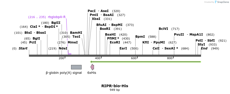 78581_map