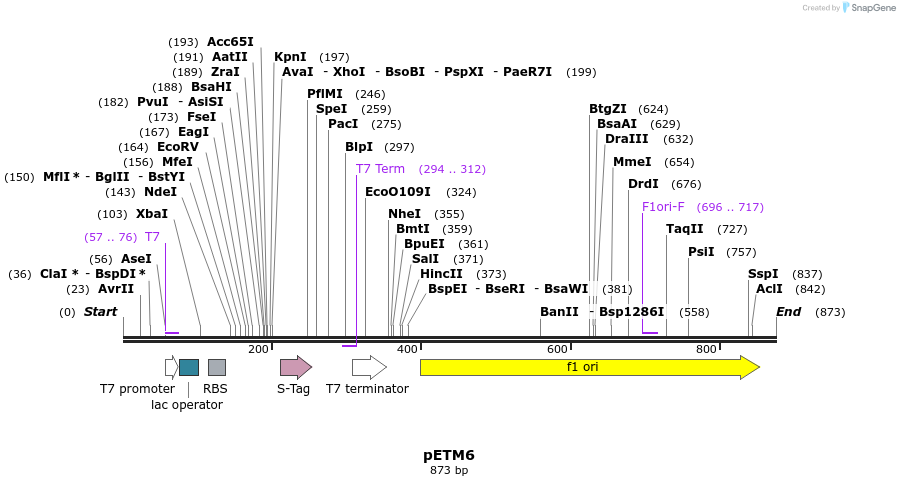 78594_map