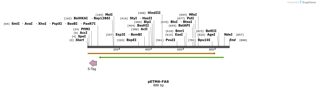 78595_map