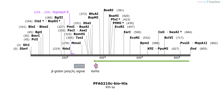 78597_map