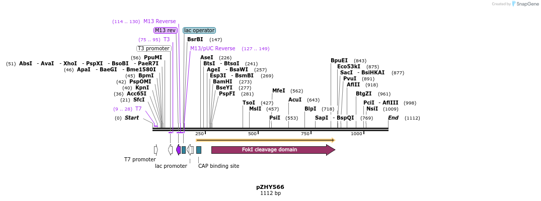 78602_map