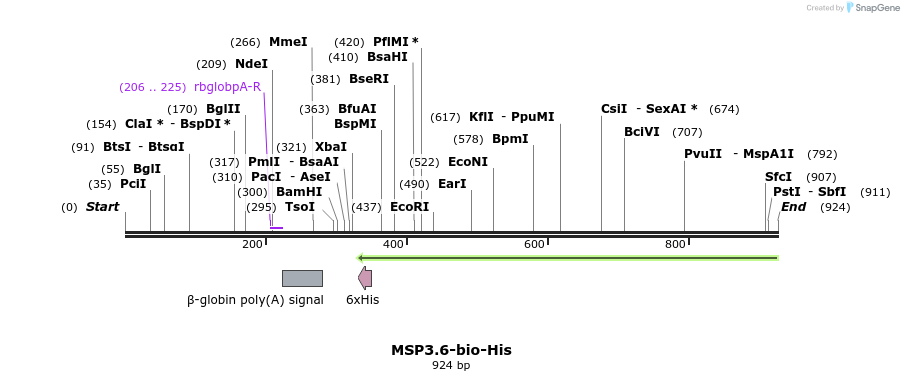 78606_map