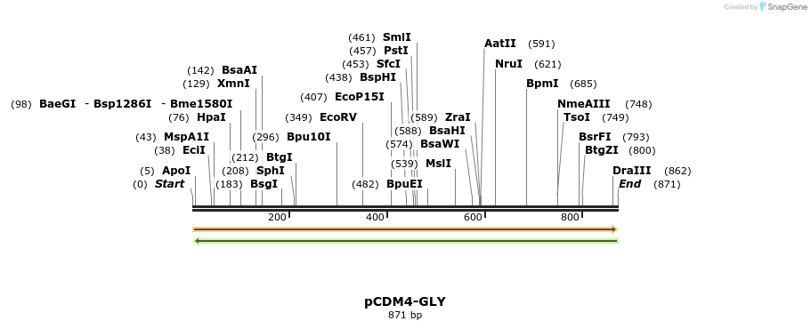 78612_map