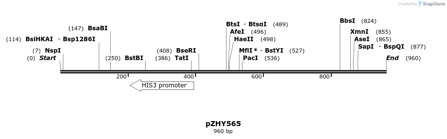 78615_map