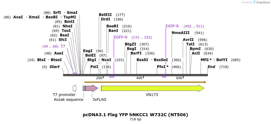 78616_map