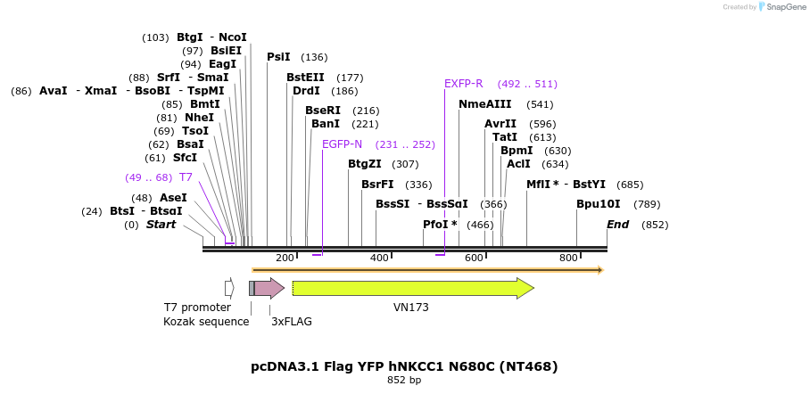 78617_map