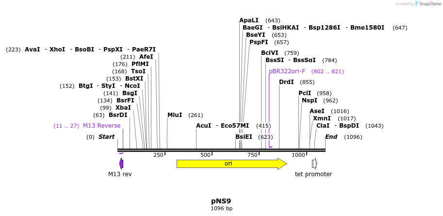78621_map