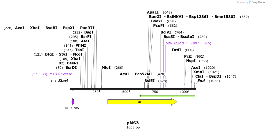 78627_map