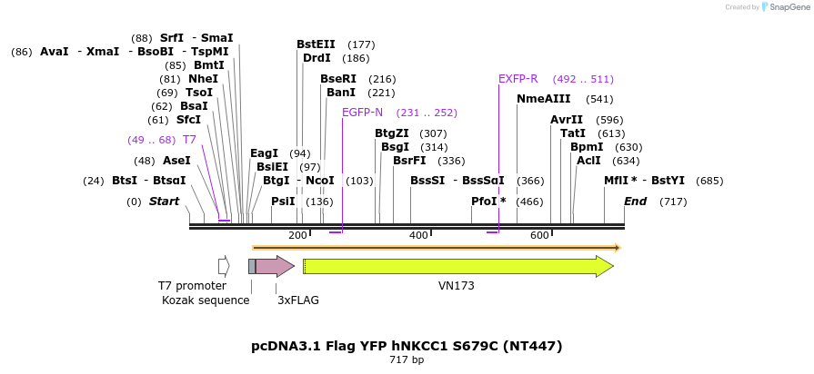 78635_map