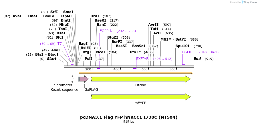 78637_map
