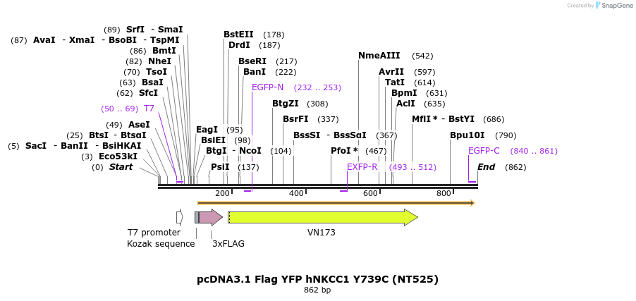 78638_map
