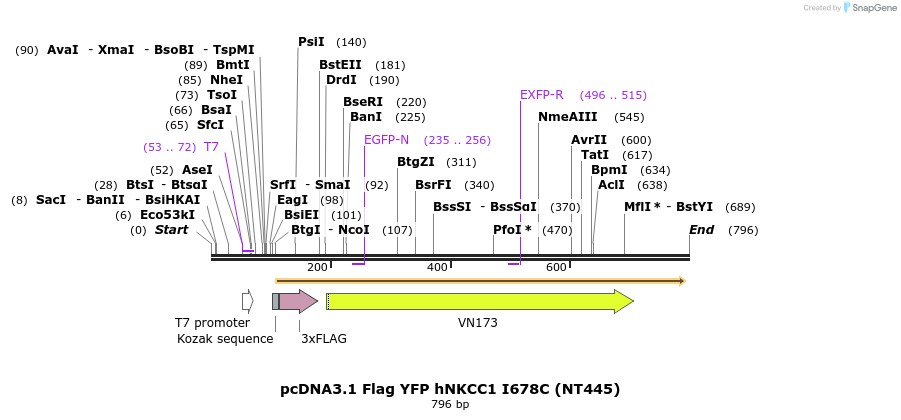 78642_map