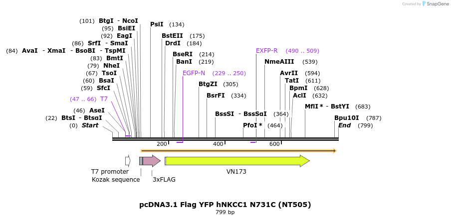 78645_map