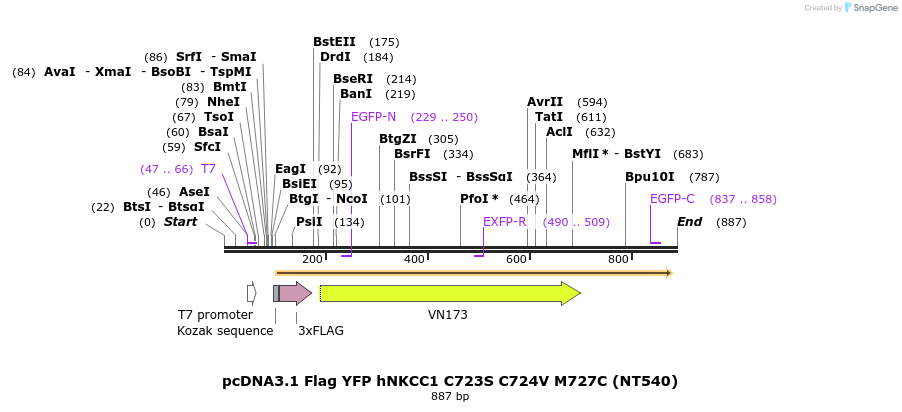 78646_map