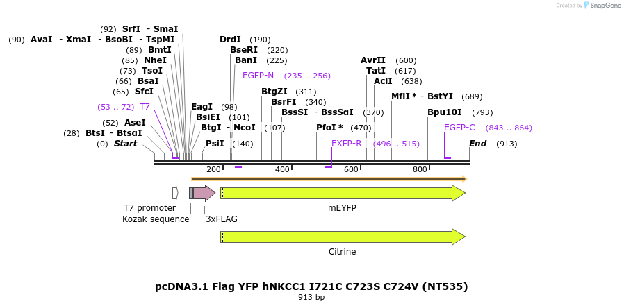 78650_map