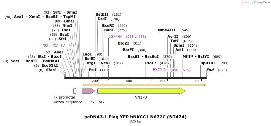 78659_map