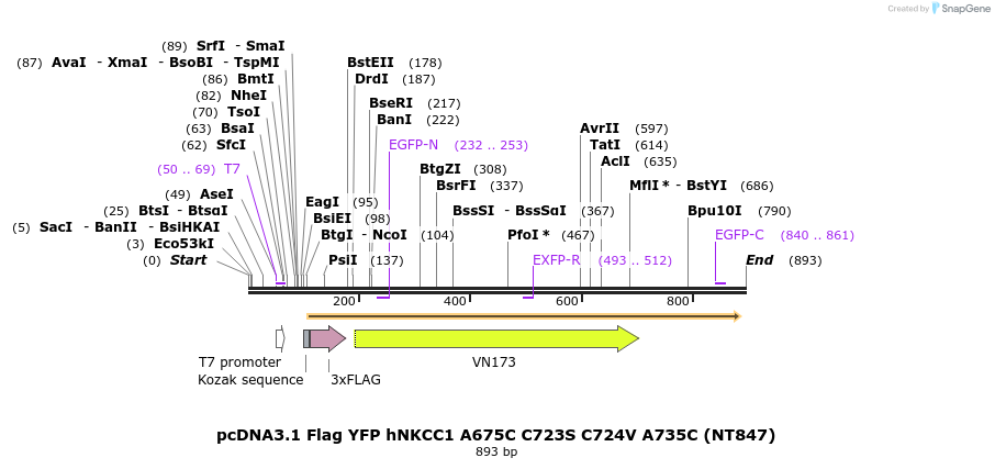 78661_map