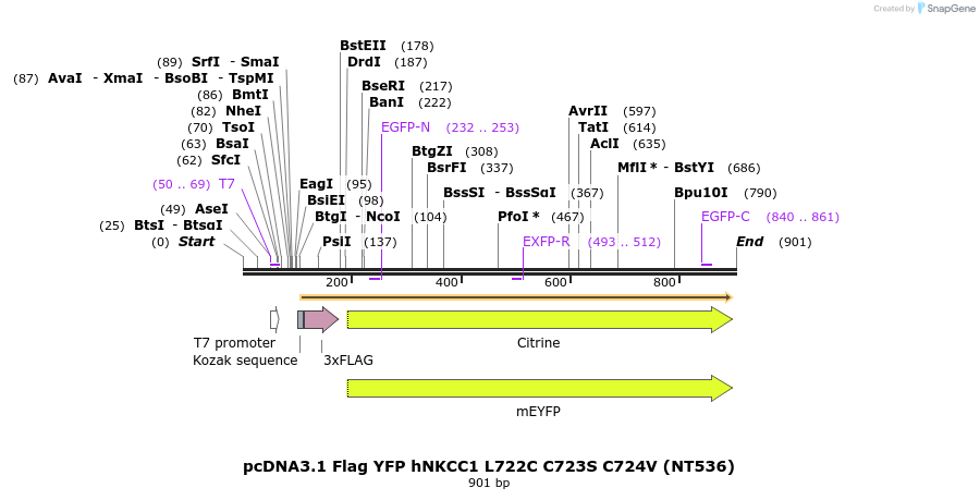 78663_map